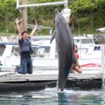 【沖縄】美ら海水族館とイルカのトレーニング